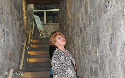 ziyaretçi
